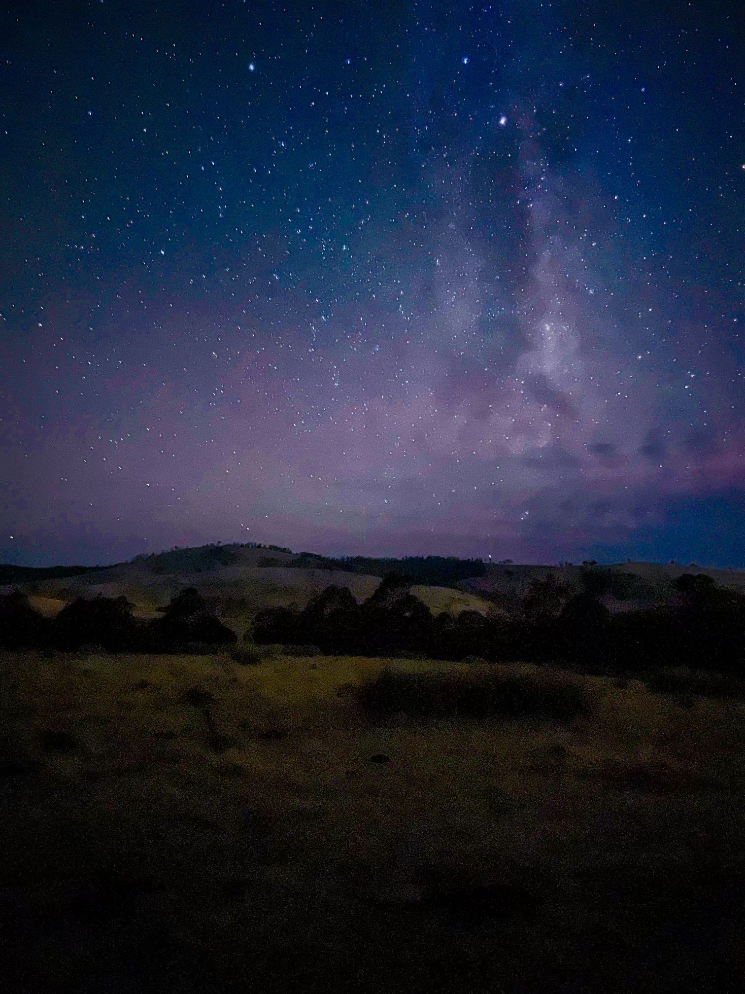 A night sky filled with lots of stars over a field.