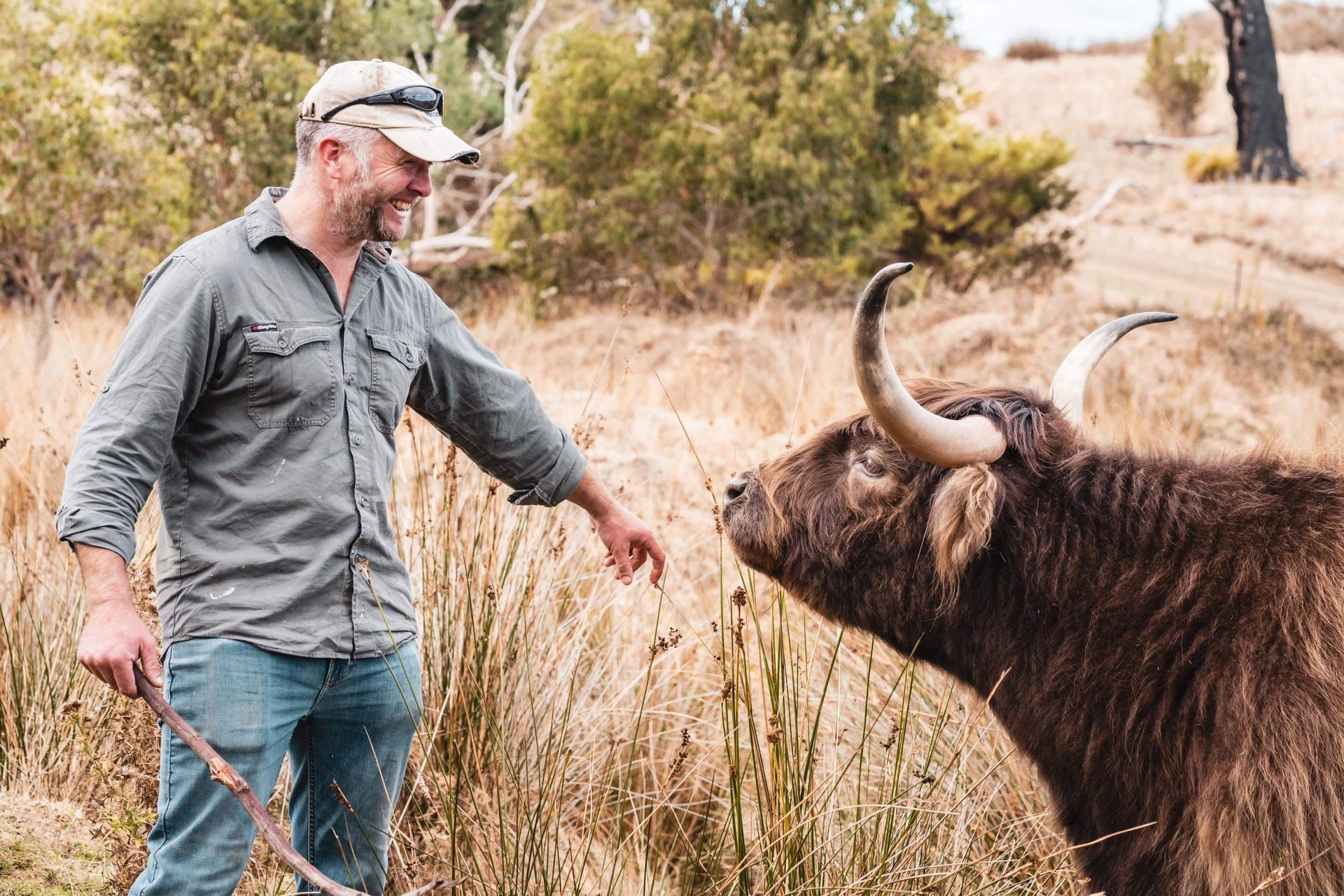 A man is petting a yak in a field.