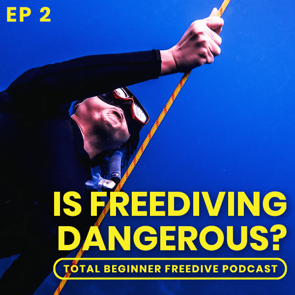 Episode 2 Is Freediving Dangerous? Freedive Nomad