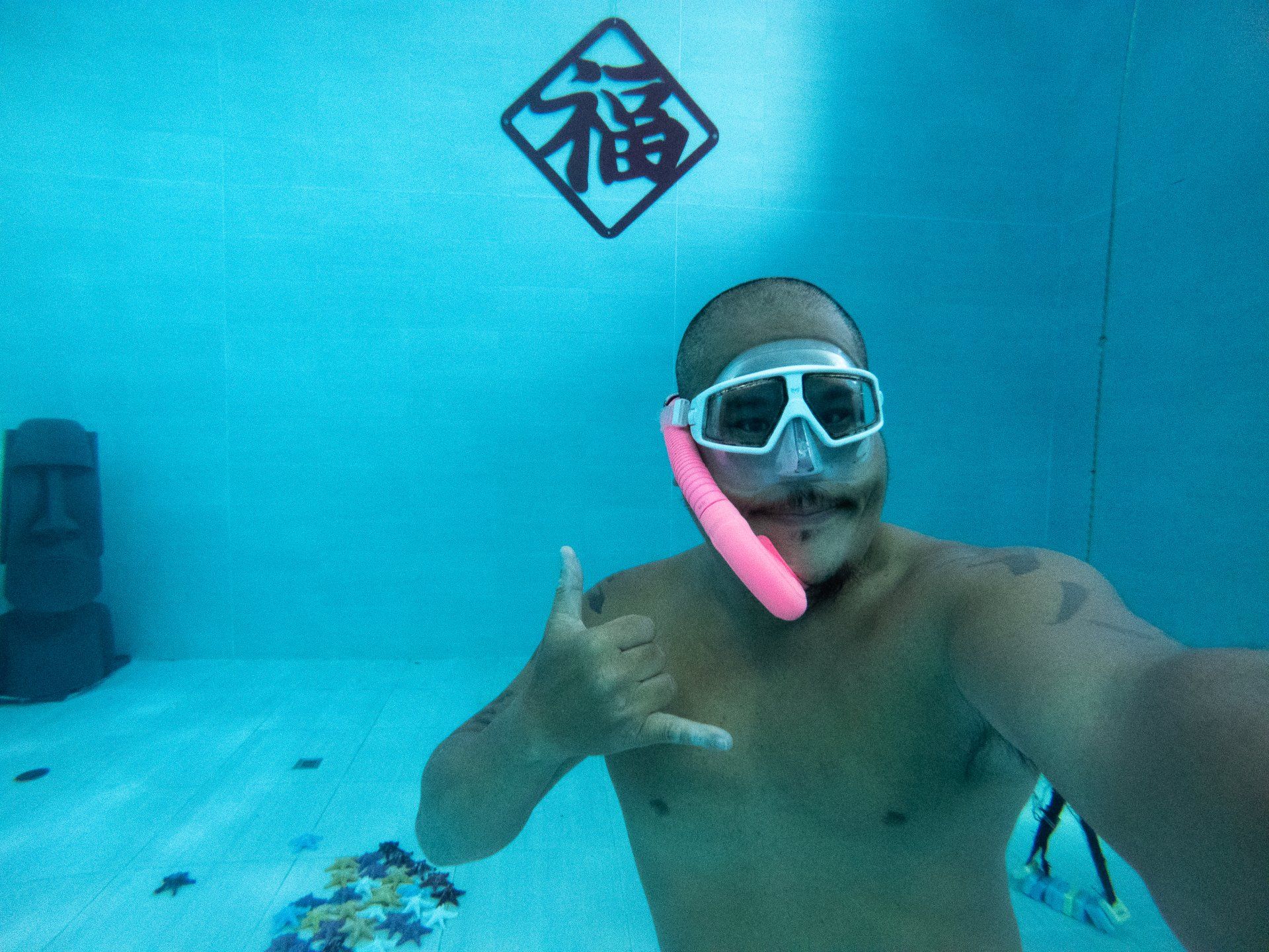 freedive divecube taiwan