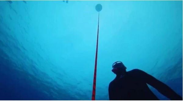 freedive taiwan