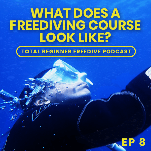 freedive course