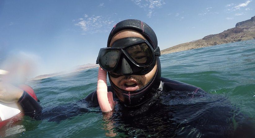 freediver on the surface