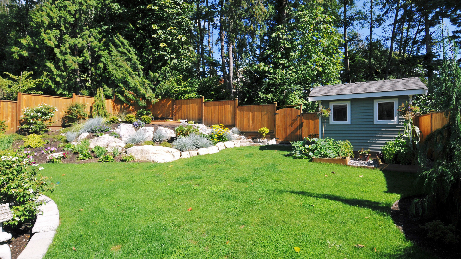 Sunny backyard with green lawn, rock garden, wooden fence, and a small shed under tall trees.