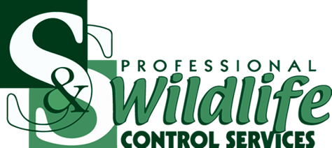 Logo for