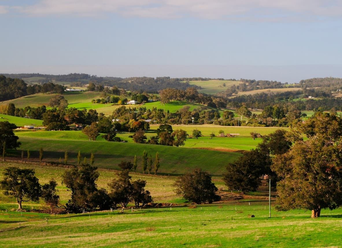 A Lush Green Field With Trees and Hills in the Background — Totally Skip Bins in Jimboomba, QLD