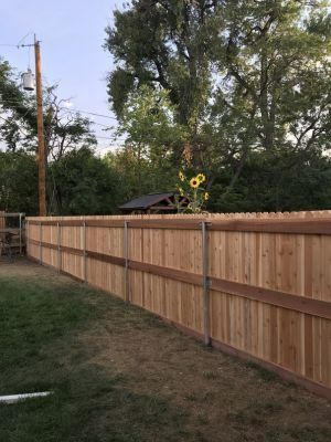 A newly installed wooden fence runs across a grassy yard, with tall sunflowers peeking over the top near large green trees.