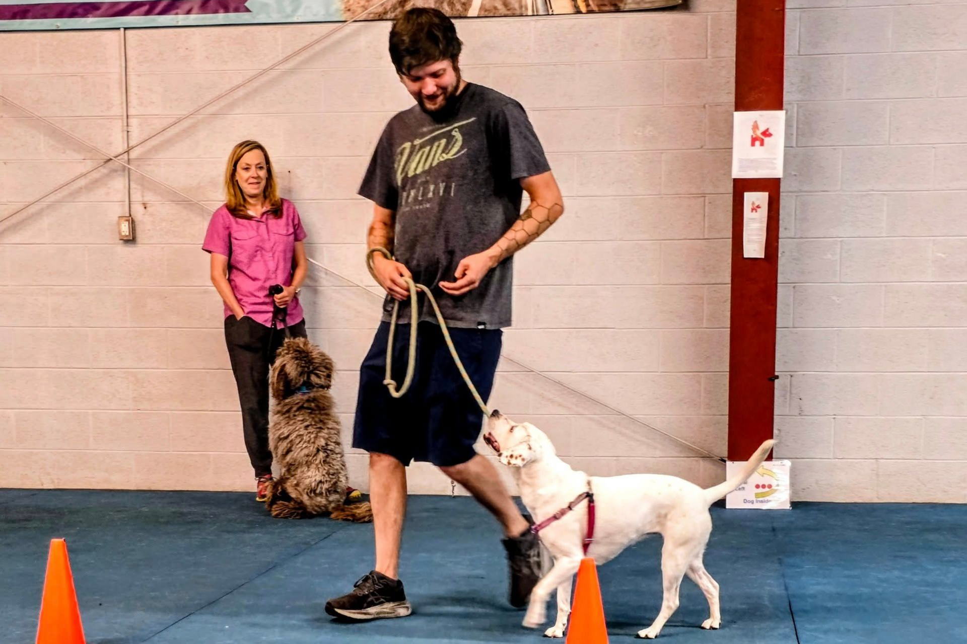A beagle mix gazes lovingly at her owner while practicing Rally Obedience signs.