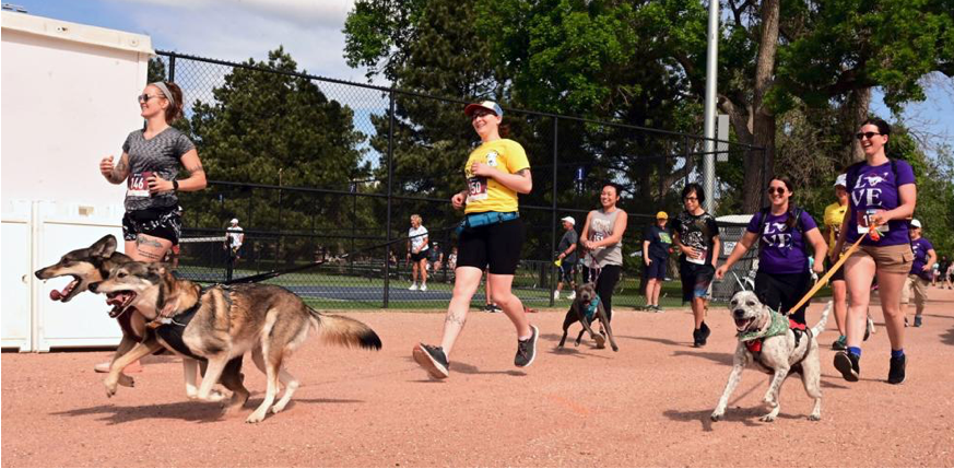 Runners and their rescue dogs start the race at a fundraiser 5k