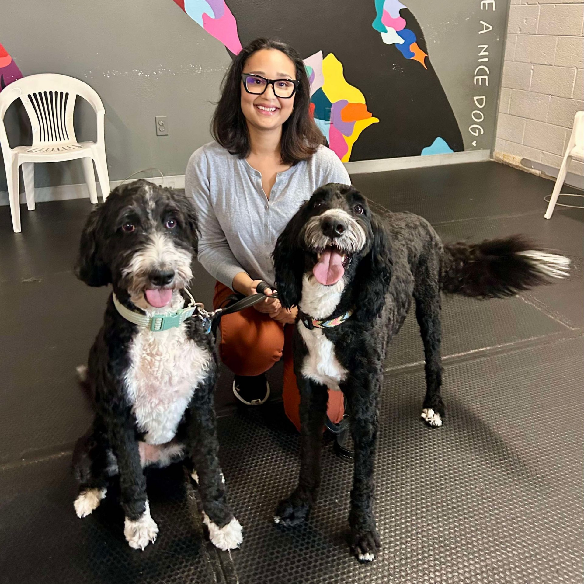 A young woman and her two poodle mixes pose for class graduation.