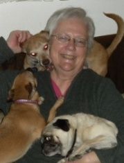 Vintage photo of a woman surrounded by small rescue dogs