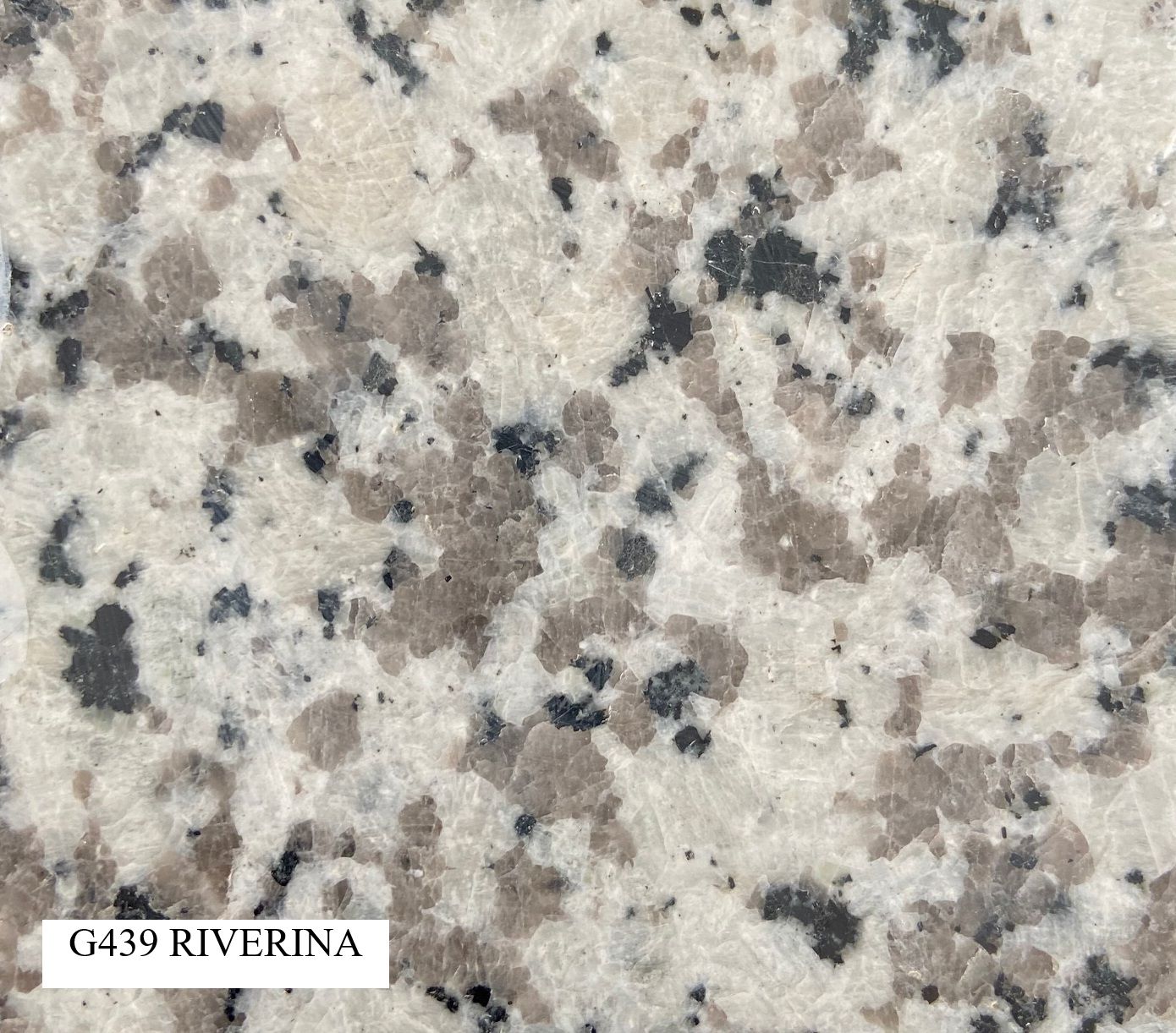 Close-up of Riverina Granite — Mid Coast Monuments In Wauchope, NSW