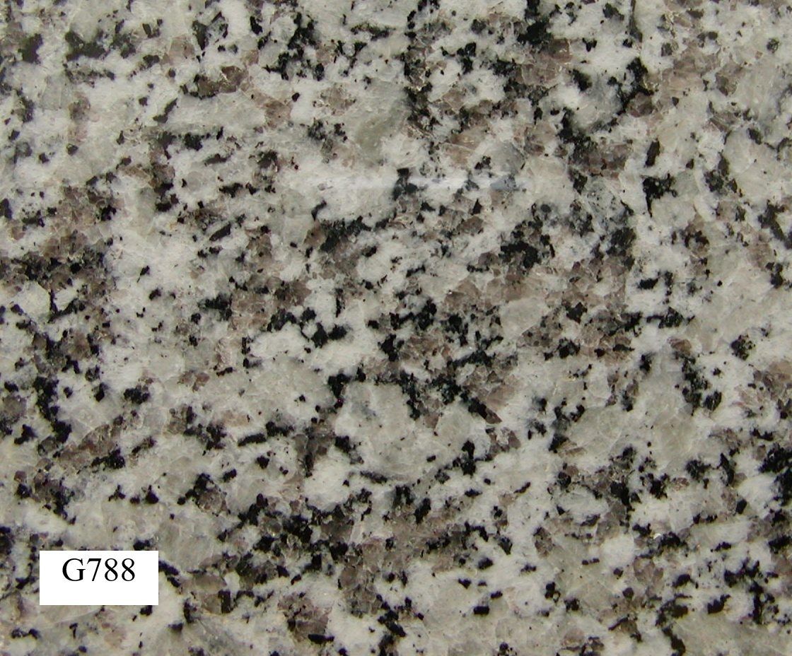 Close-up of Granite Surface, Speckled With Black, Gray, and White Grains — Mid Coast Monuments In Wauchope, NSW