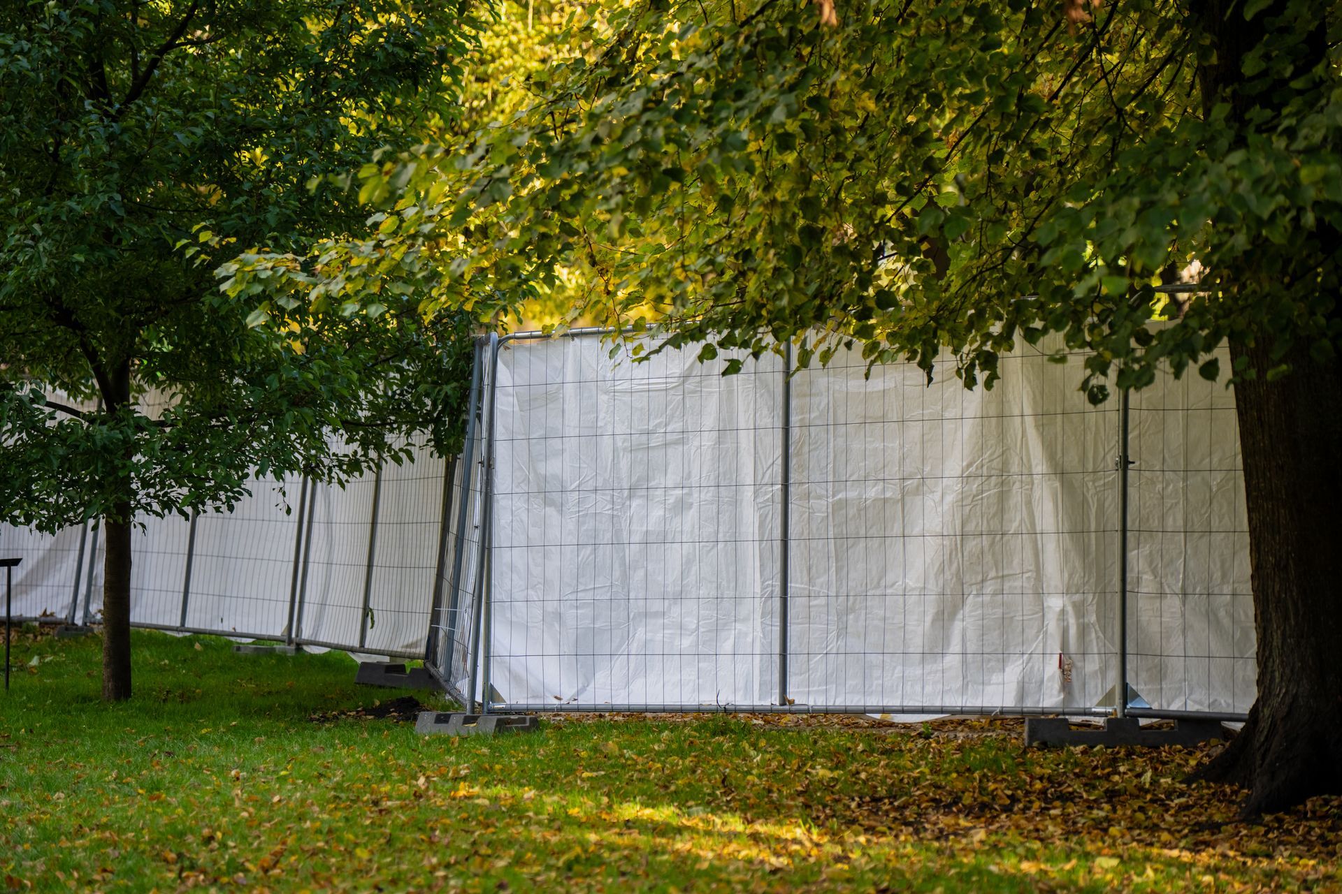 White event tents beneath leafy green trees on a grassy lawn White event tents beneath leafy green trees on a grassy lawn