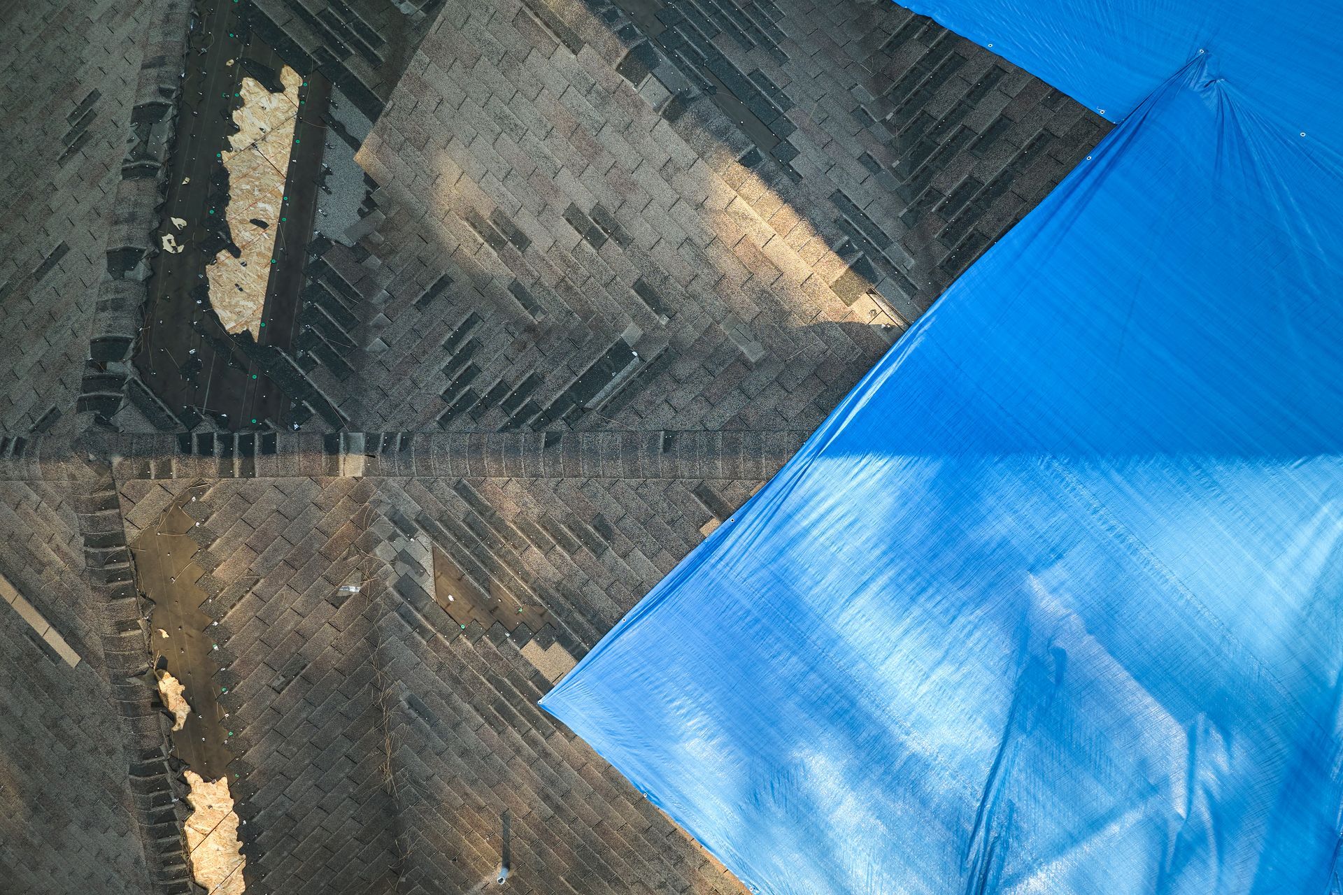 Blue kite over a patchwork of brown and gray fields