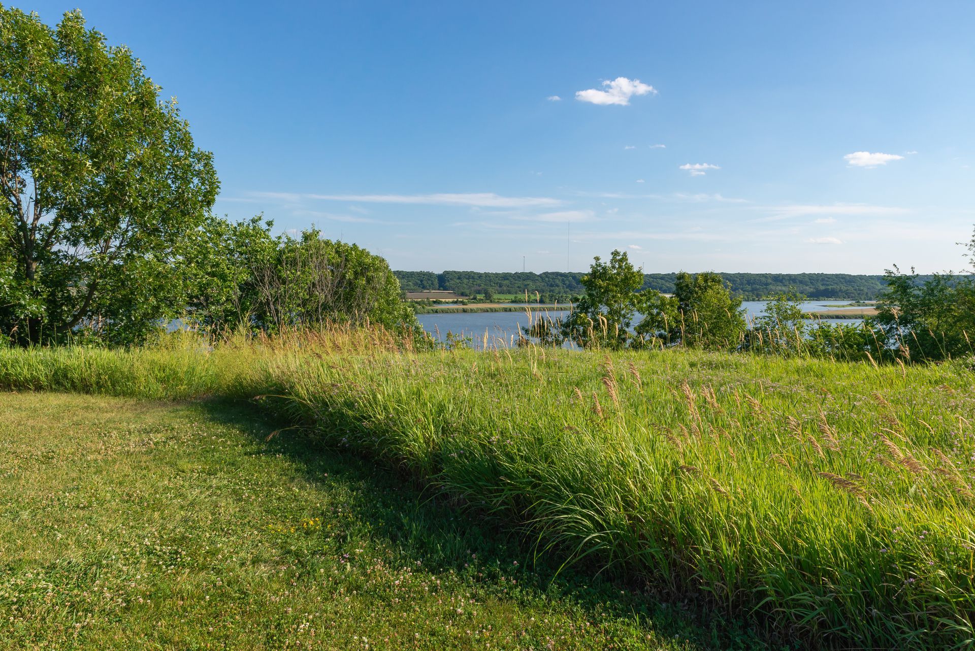 Grassy hill overlooking a lake under a blue sky, with trees on the left