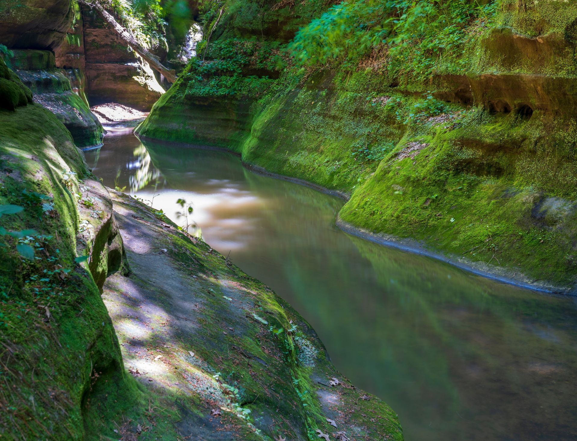 Narrow canyon stream with mossy green rock walls and sunlight reflecting on calm water