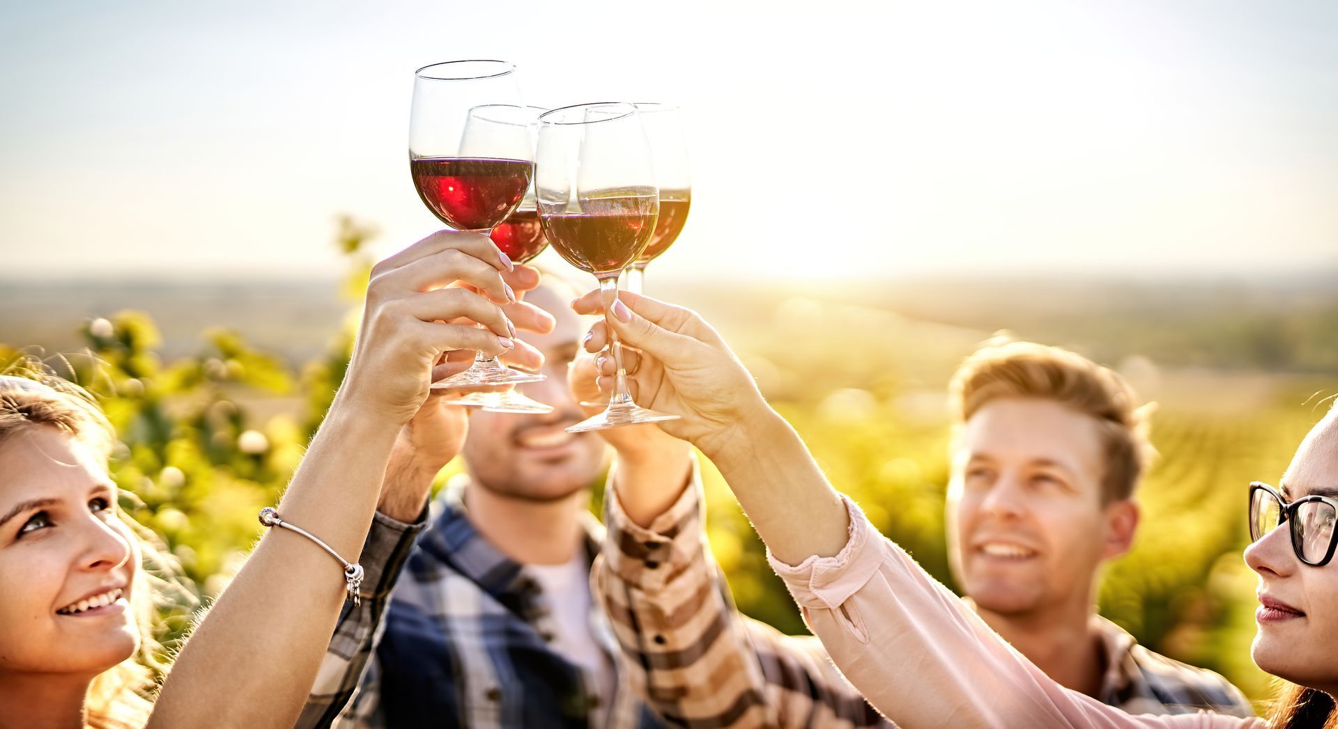 Friends toasting wine glasses outdoors in a sunny vineyard at sunset
