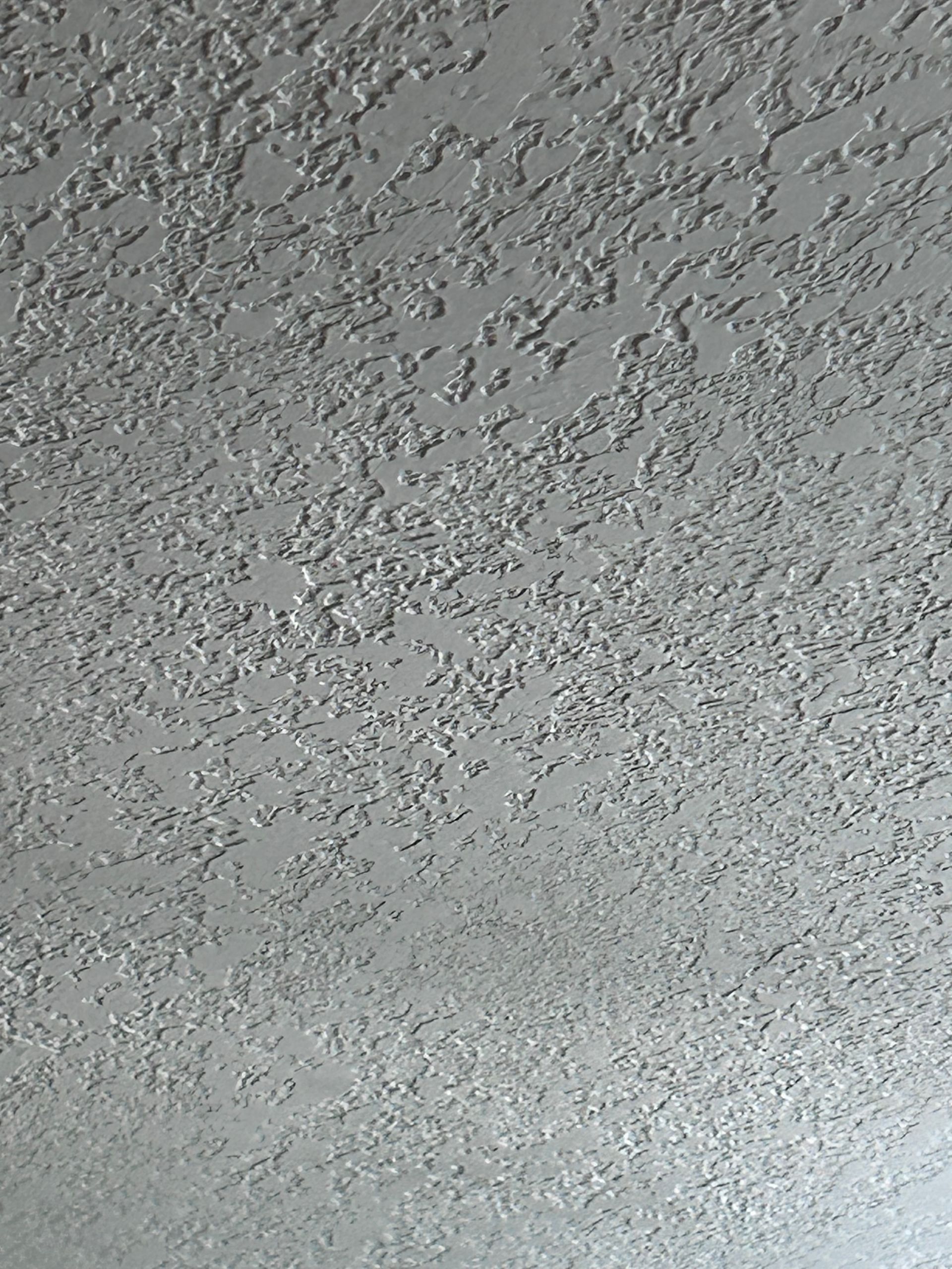 Textured, off-white ceiling. Stucco or popcorn finish with irregular, raised patterns.