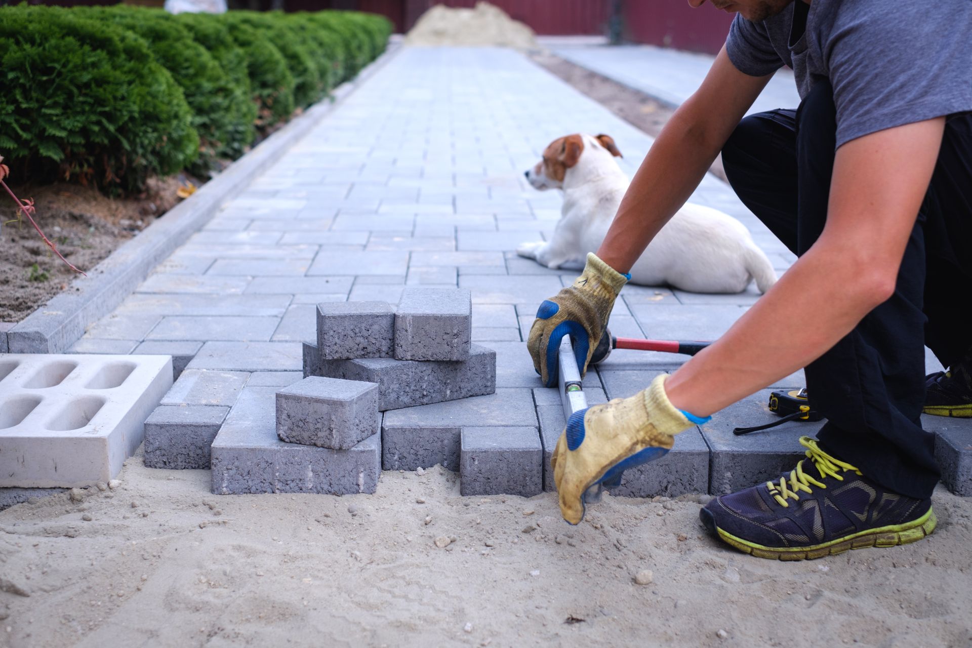 A man is laying bricks on a sidewalk next to a dog.