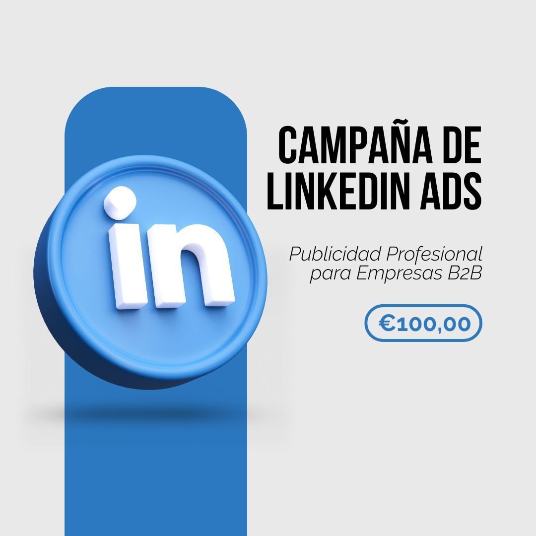 Campaña de LinkedIn Ads – Publicidad Profesional para Empresas B2B