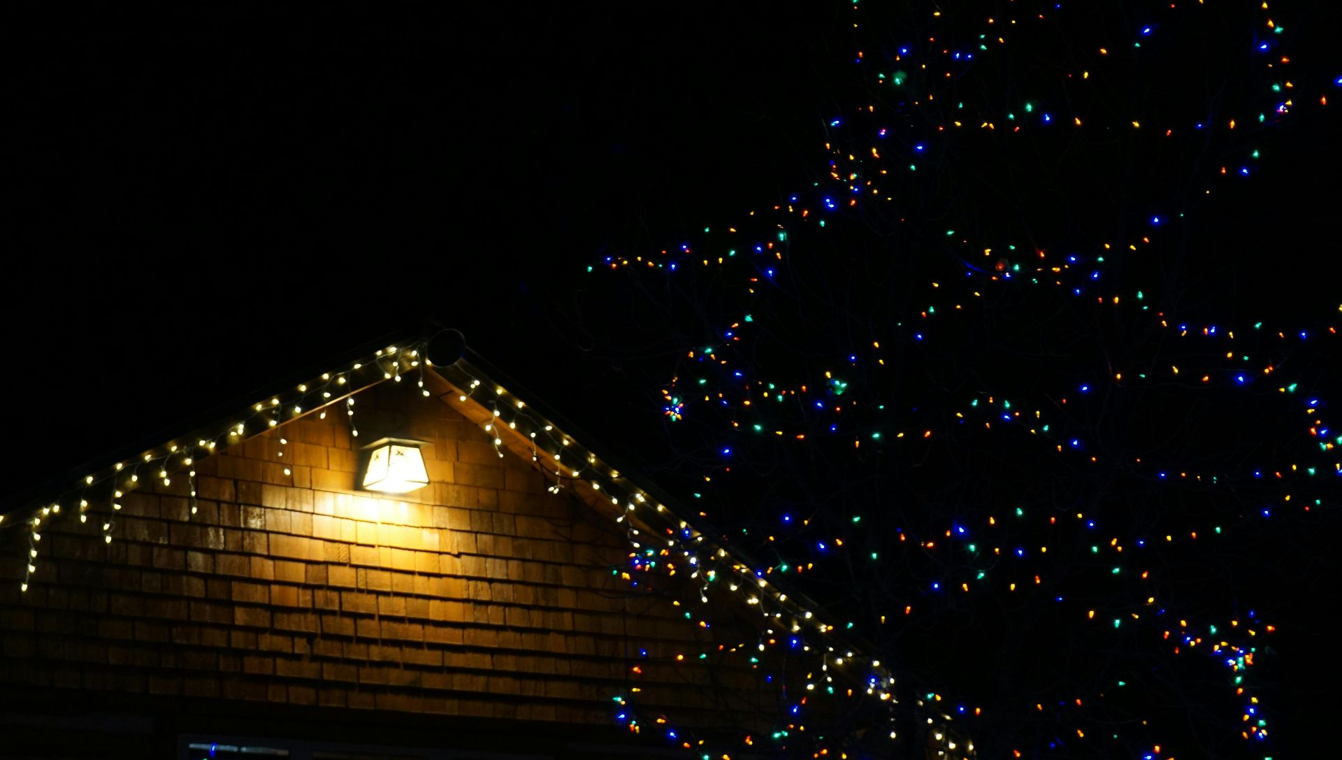 Roof of a building with Christmas lights and a lit-up tree against a dark night sky.