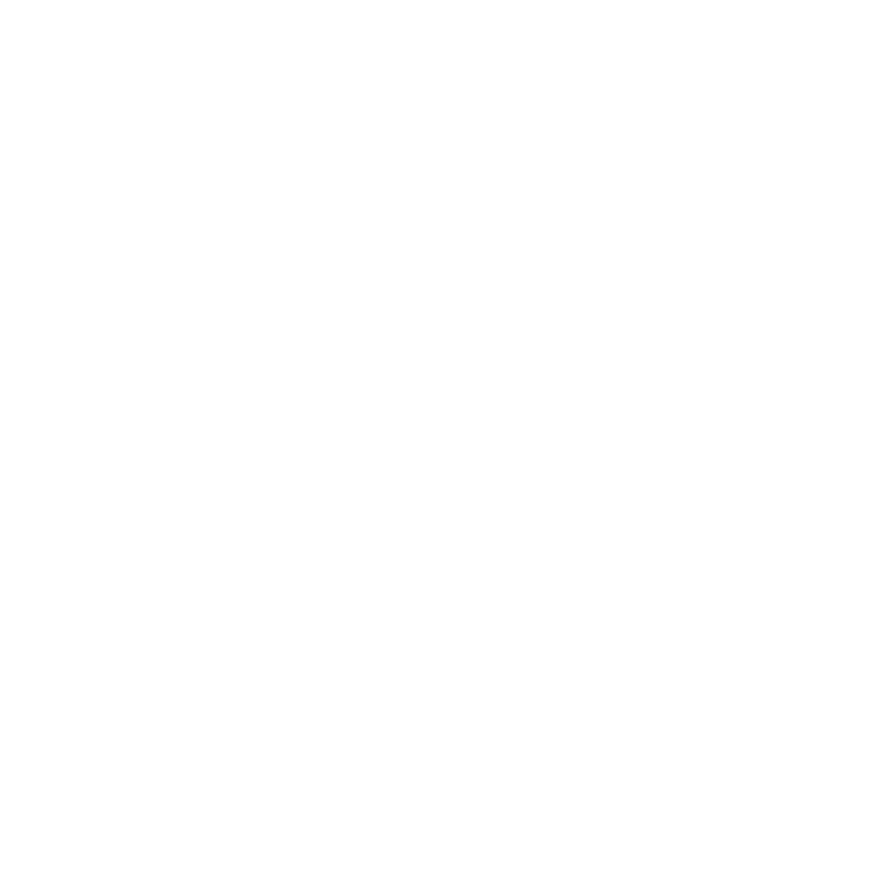 North and Line logo