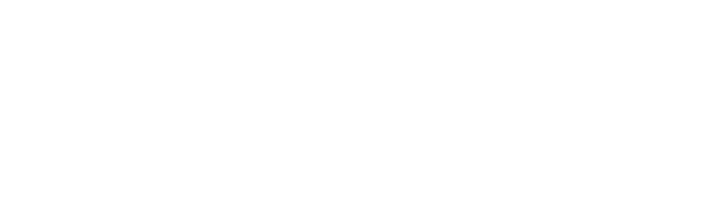 North and Line logo