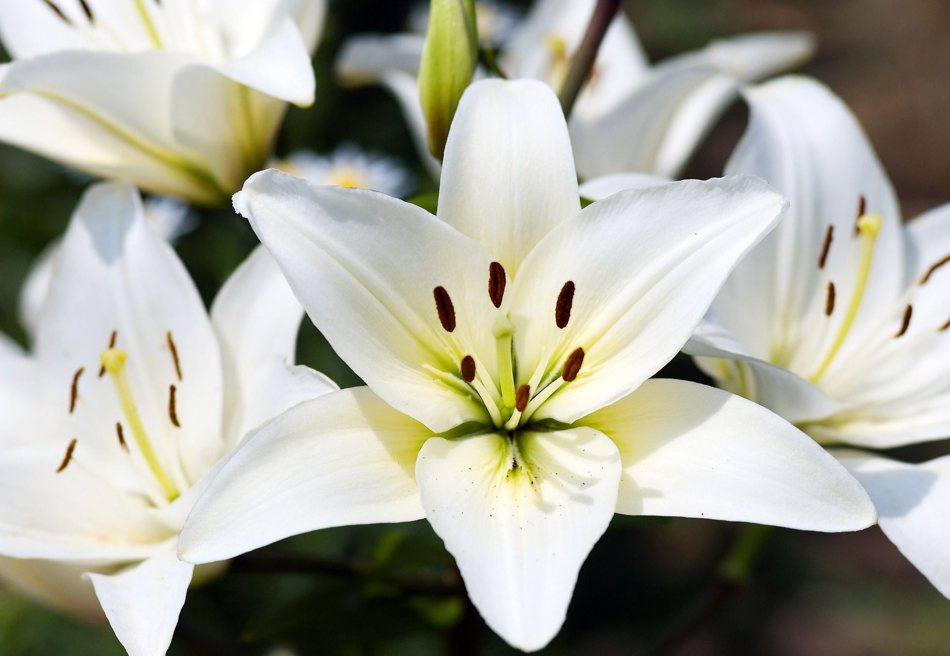 Funeral Personalization