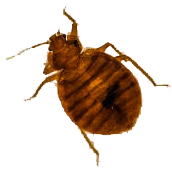 target - Residential Pest Control in Gretna, NE