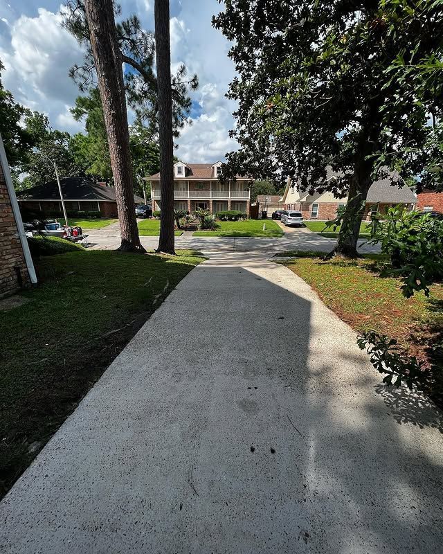 A pressure washer sprays water across a tan concrete walkway beside green shrubs.