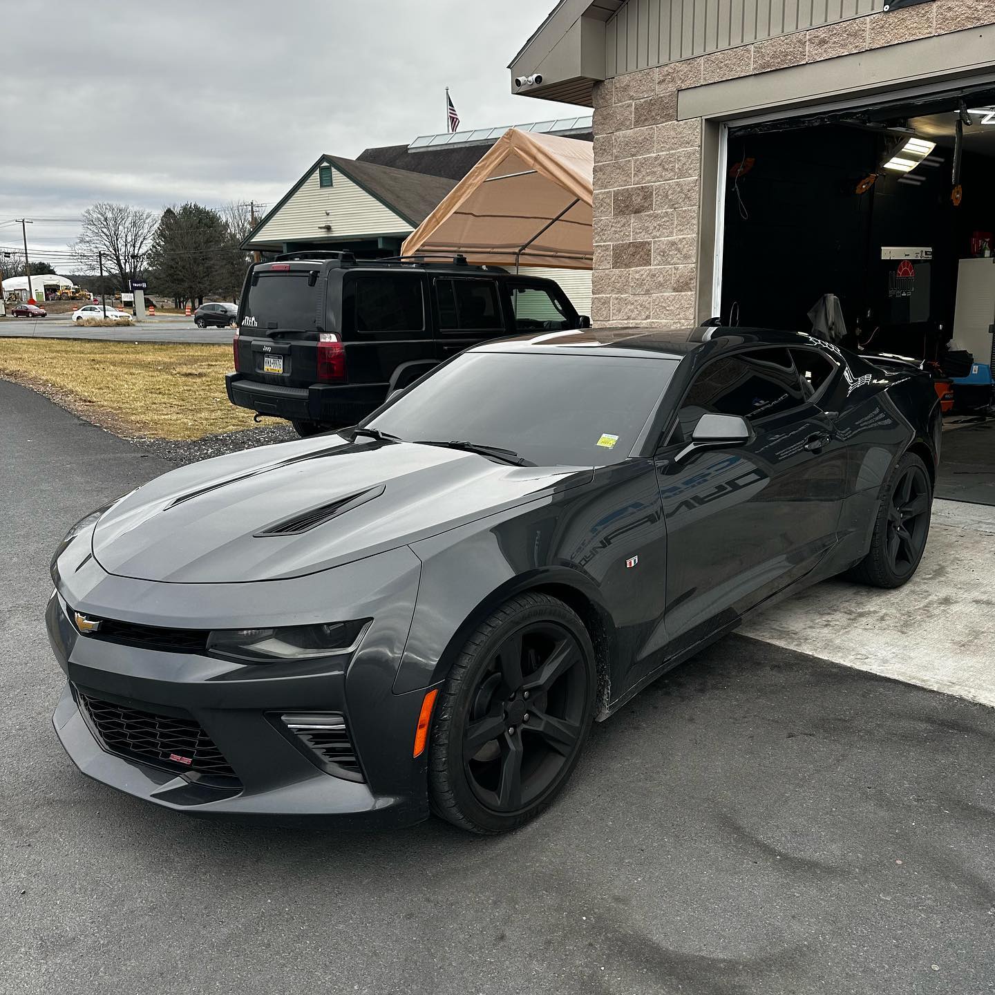 Paint protection film, paint job