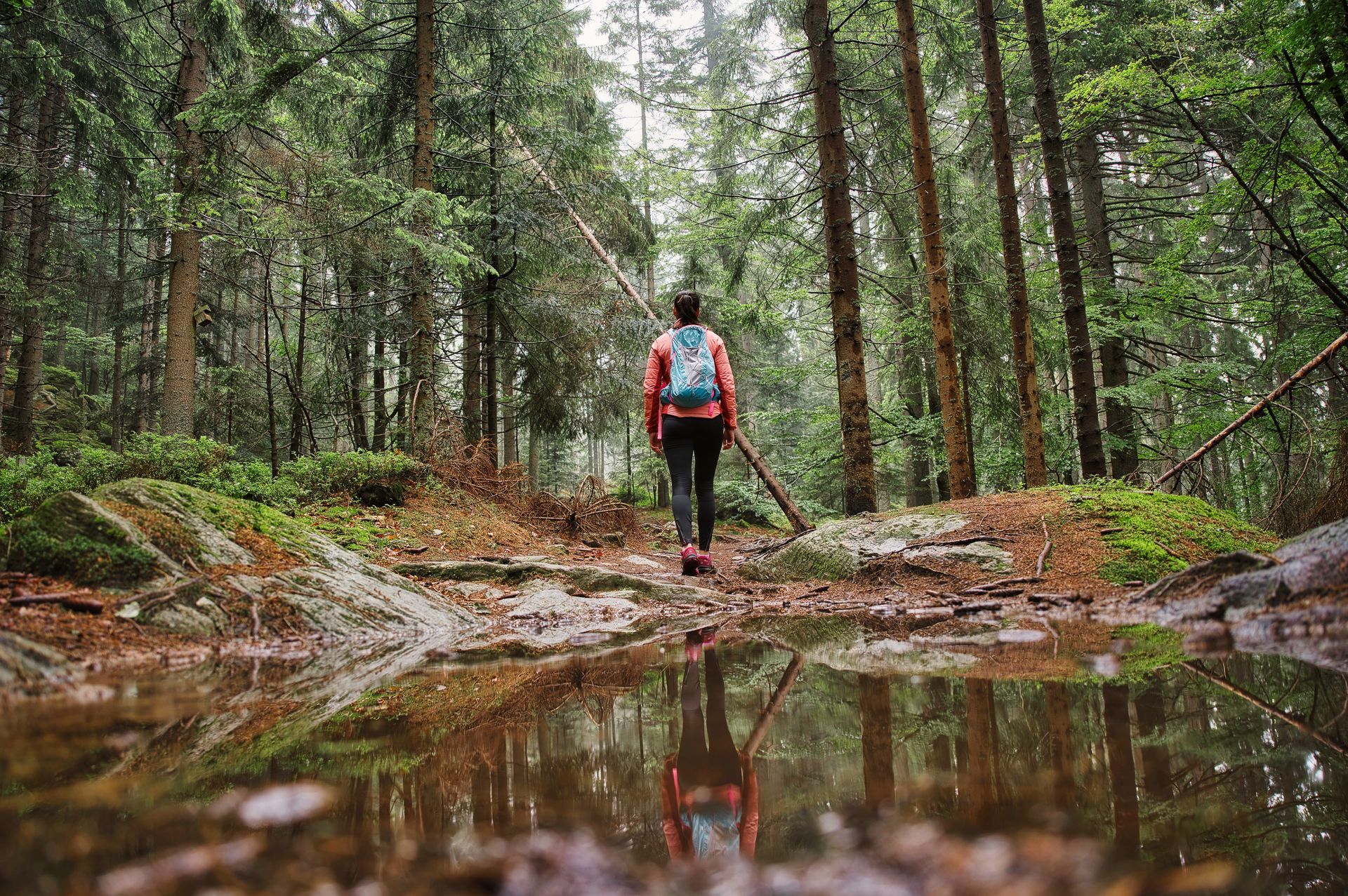 Hiker with red backpack walking along a forest trail beside a reflective puddle