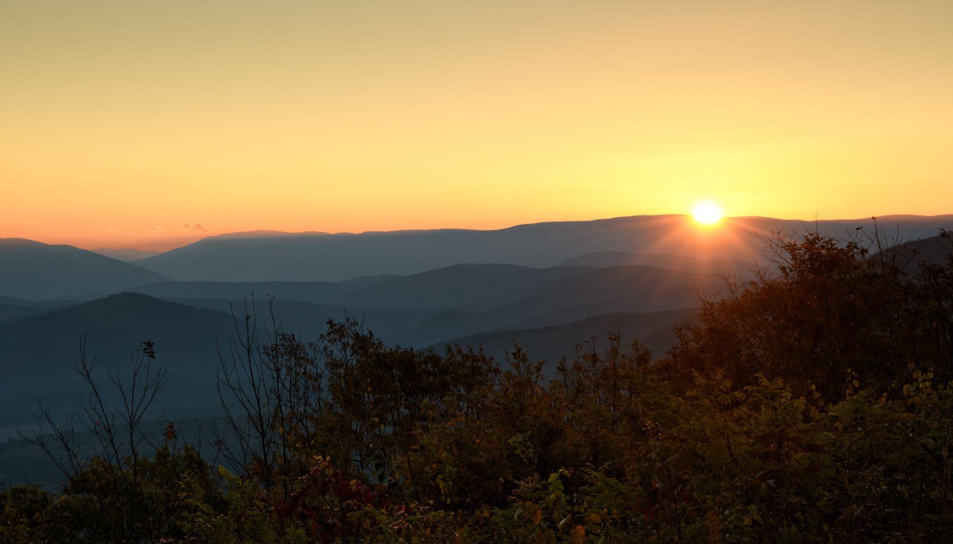Sunrise over layered mountain ridges with a golden sky and dark foreground trees