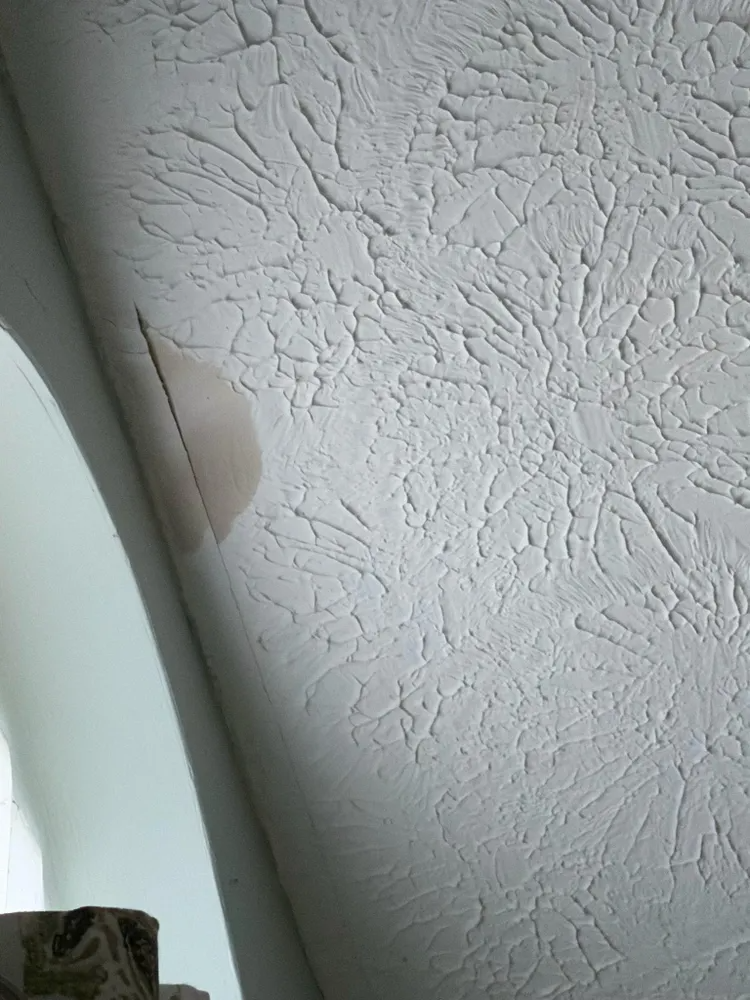 Close-up of a white textured ceiling with a small beige stain near the edge of a wall and window.