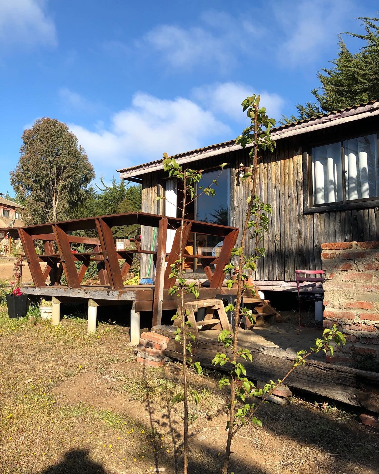 Cabaña de madera con deck, rodeada de patio y árboles, bajo un cielo azul.