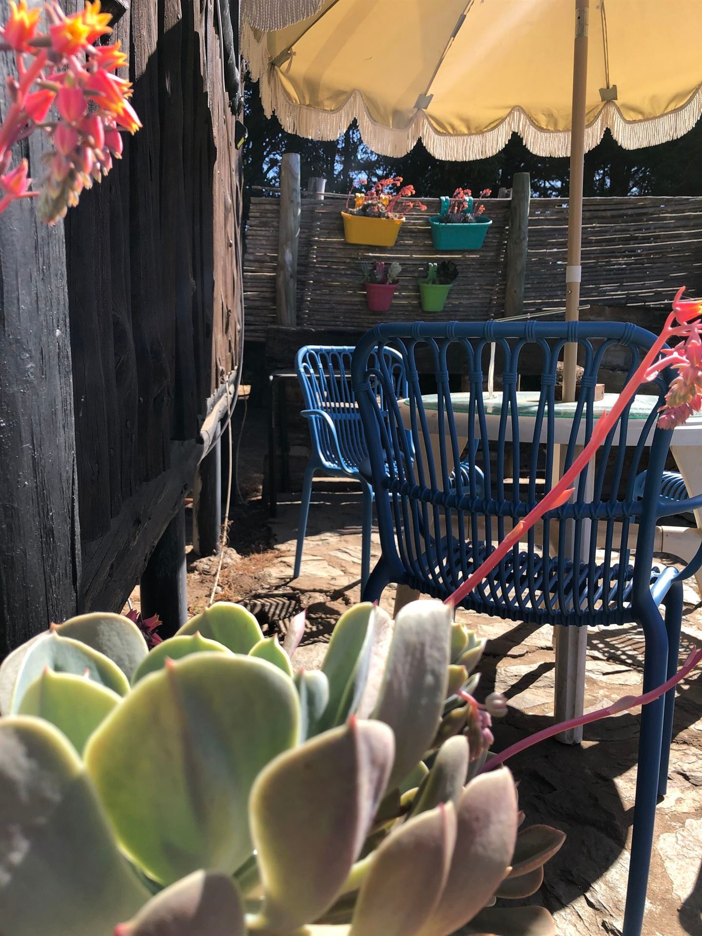 Zona de estar al aire libre con sillas azules, sombrilla amarilla y macetas de flores de colores.