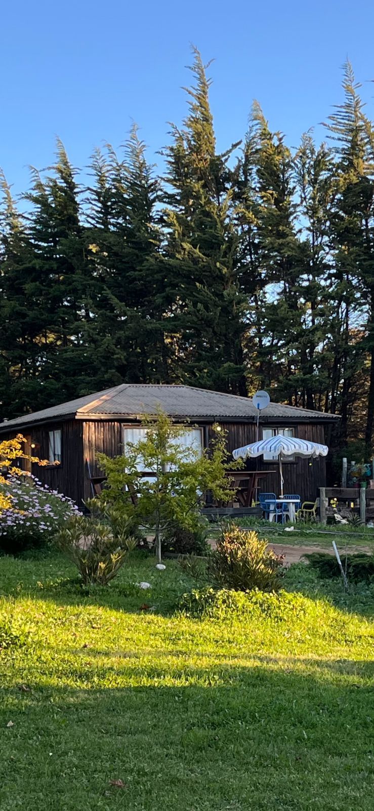 Cabaña de madera ubicada entre árboles altos, con un patio y un cielo azul en lo alto.