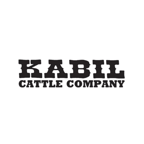 Kabil Logo