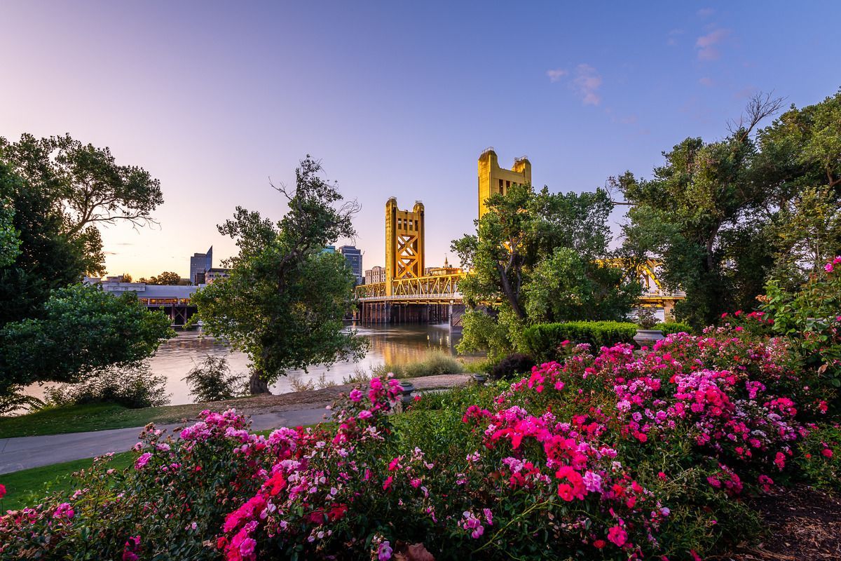 a flower bush next to a walkway along a river