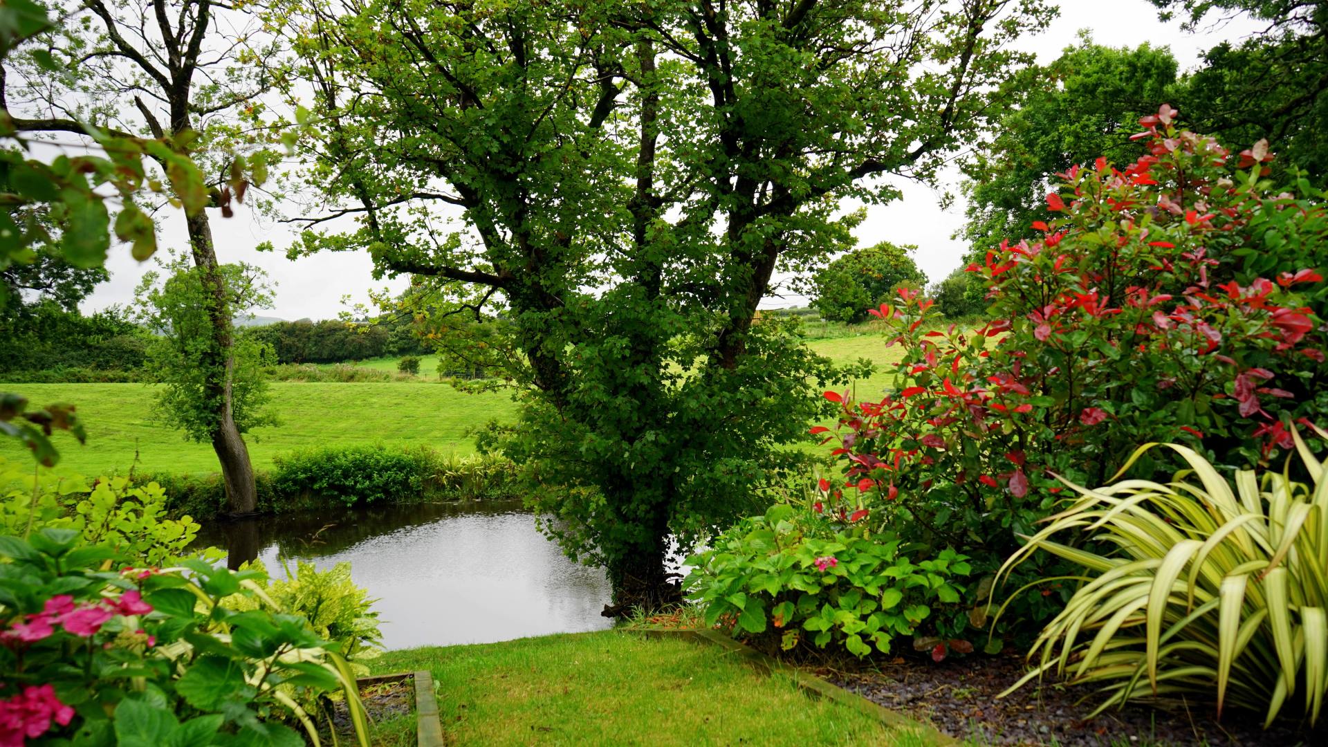 Tree Services near Mebane, NC