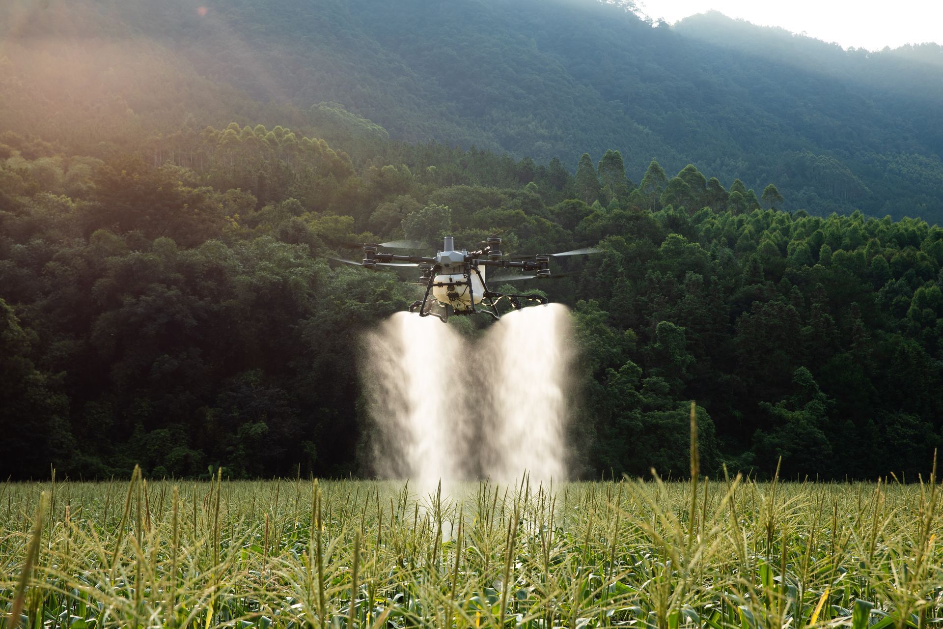 Drone spraying crops in a field, with a forest and mountain backdrop under sunlight.