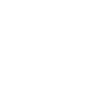 Executive Medical Protection Services logo