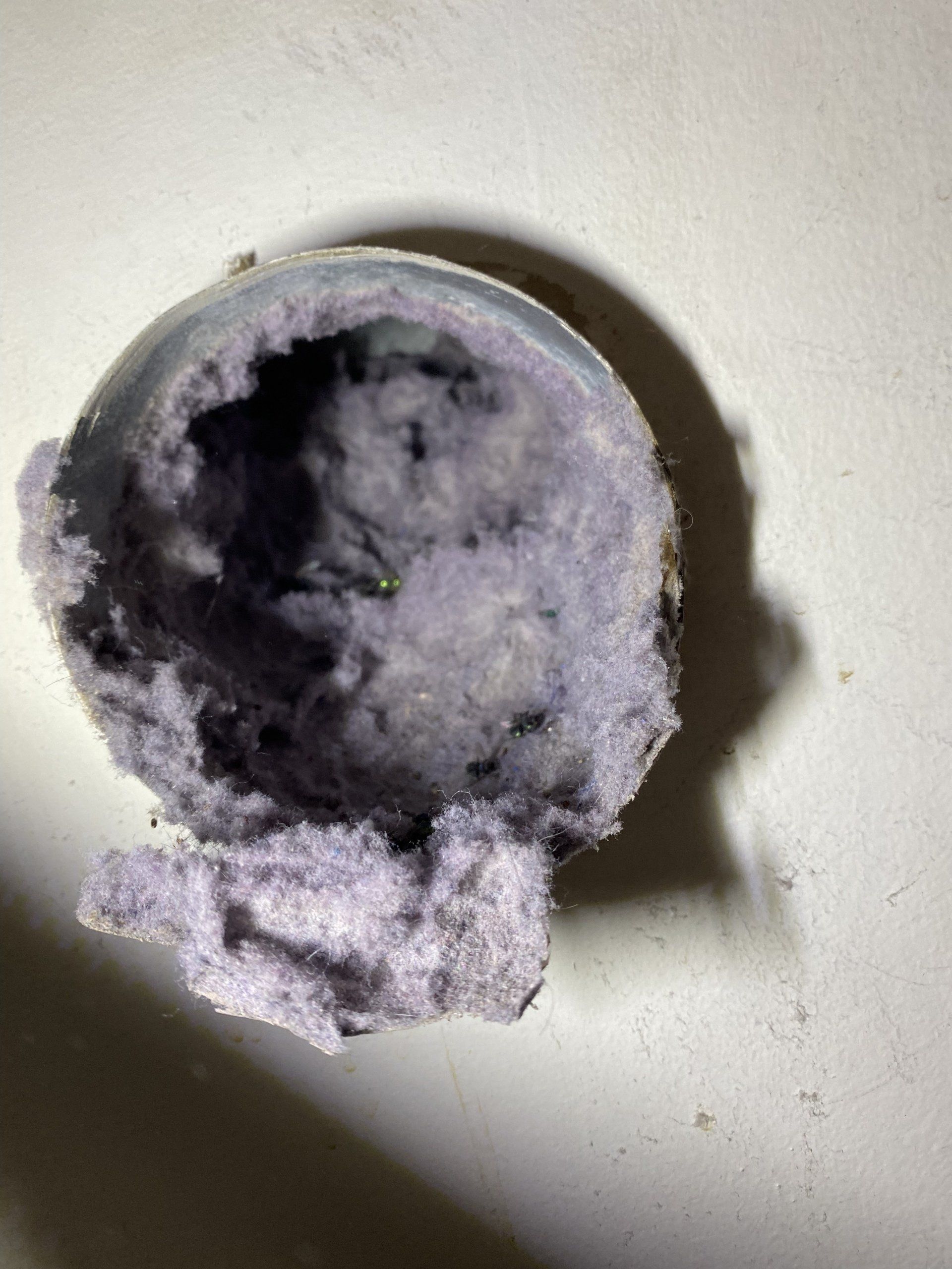 A close up of a purple object on a white surface.