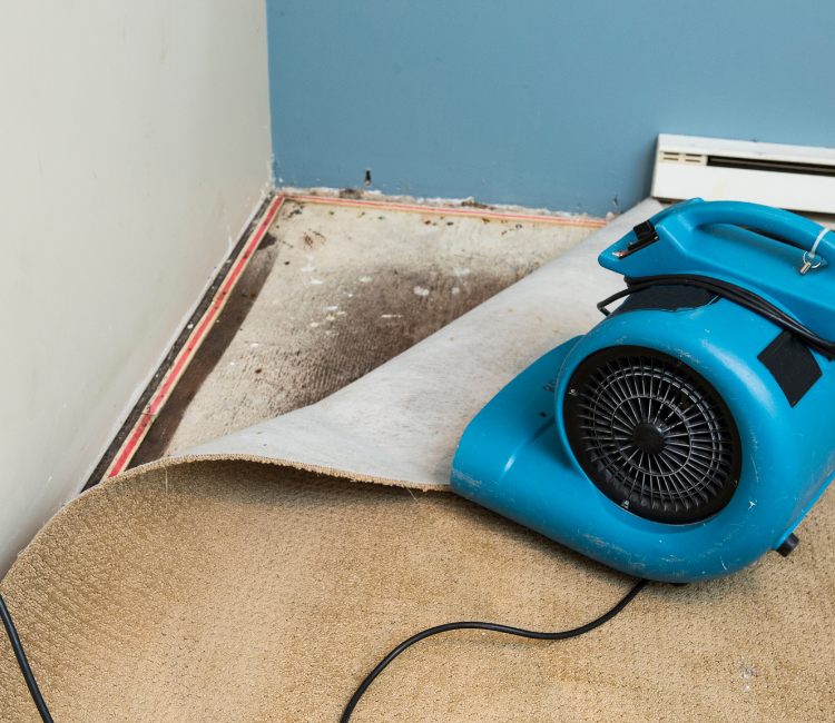 Water Damage Restoration
