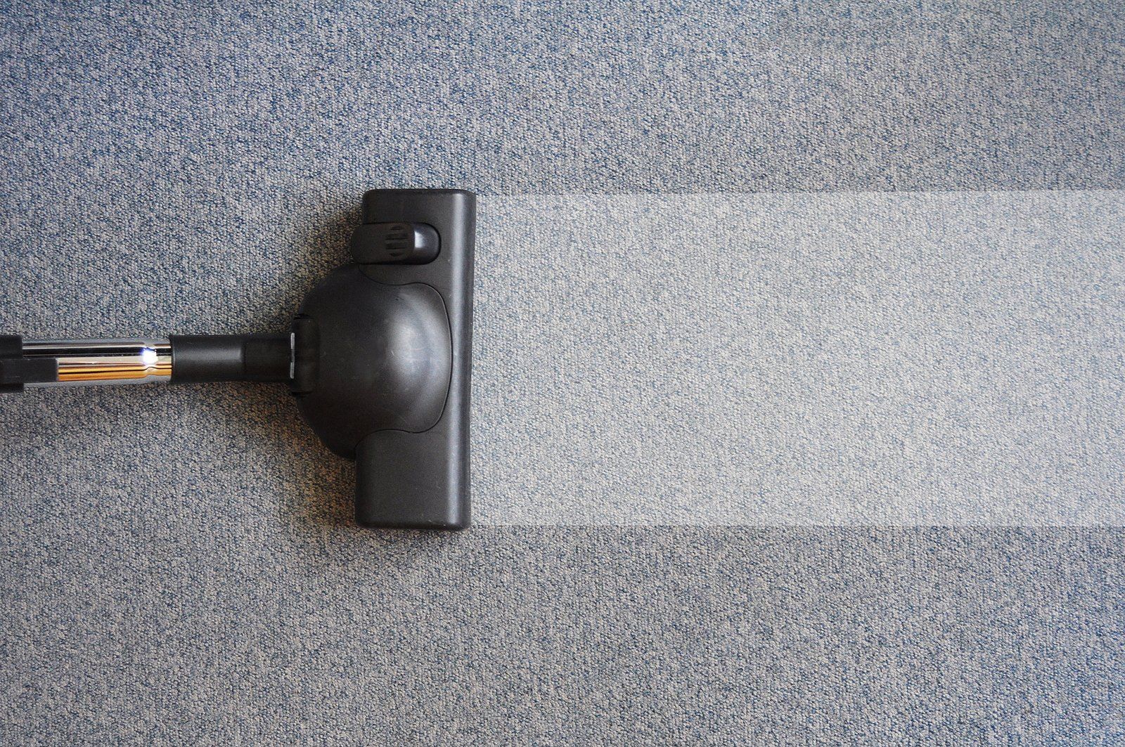 professional rug cleaning service near me professional rug cleaning service near me