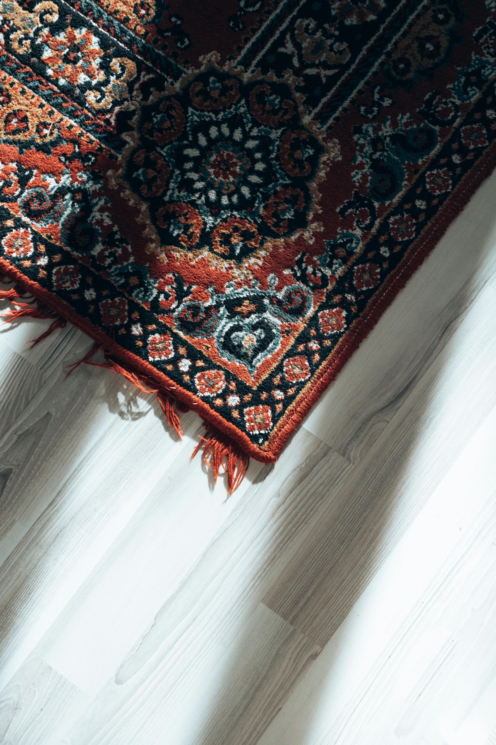 Rug pet stains and odors Rug pet stains and odors