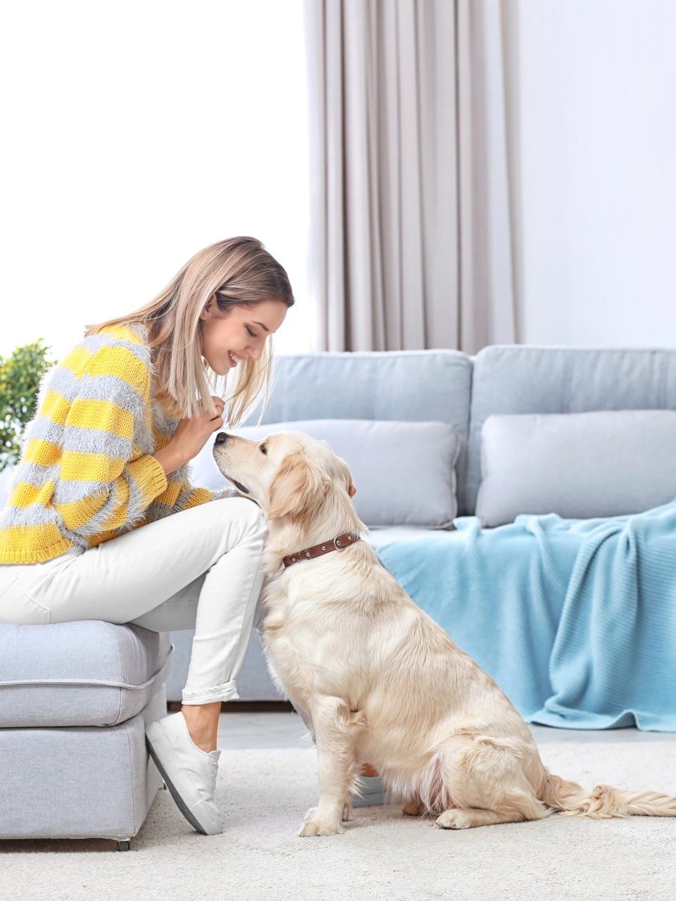 Alpharetta carpet and rug cleaning Alpharetta carpet and rug cleaning