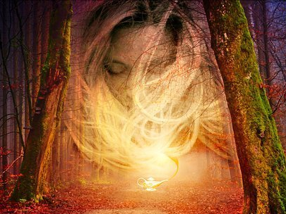 Alles ist Magie Magie, Wunderlampe, Wald, Zauber