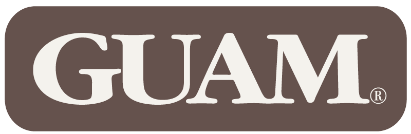 Home Logo